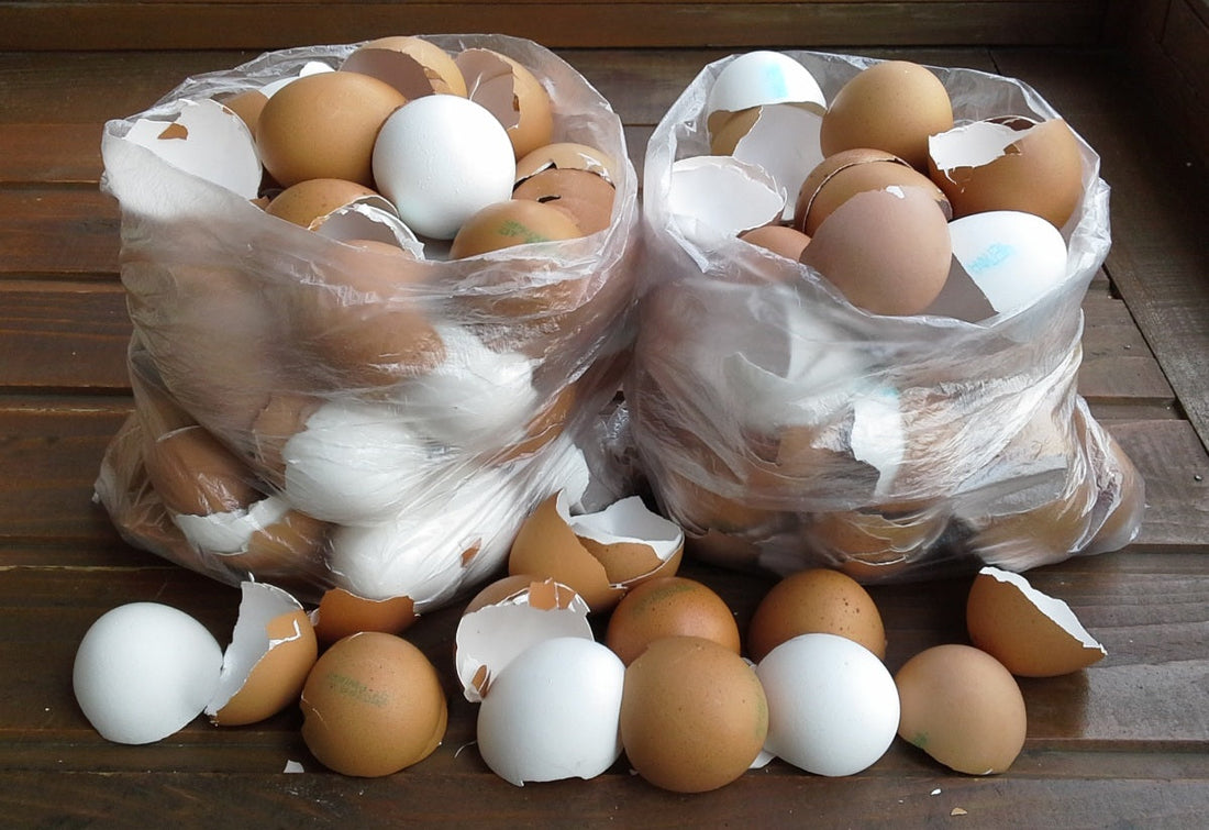 Tojáshéj: A Fenntartható Használat Titka az Otthonban és a Kertben