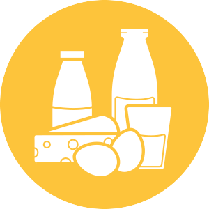 Friss Kiszállítás